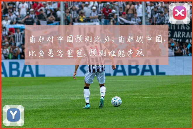 南非对中国预测比分,南非战中国,比分悬念重重,预测谁能夺冠
